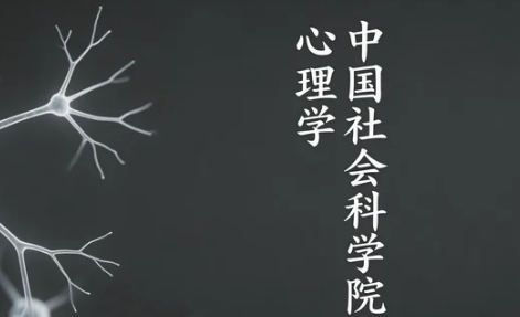 2026社会心理学在职博士费用是多少？