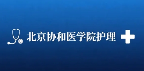 2026年护理管理研修班的就业支持政策是什么