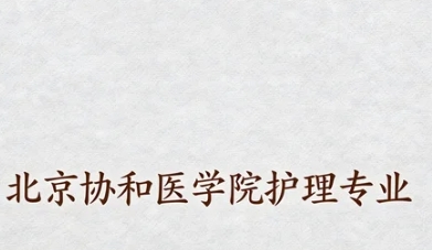 2026年护理管理者能力提升的具体方法有哪些