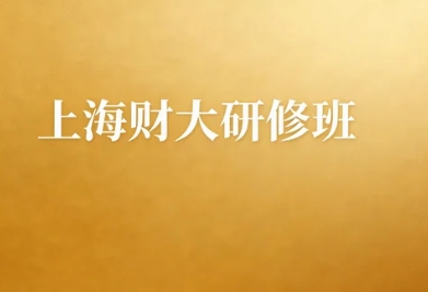 2026年上海财务管理培训对职业发展的长期影响是什么?