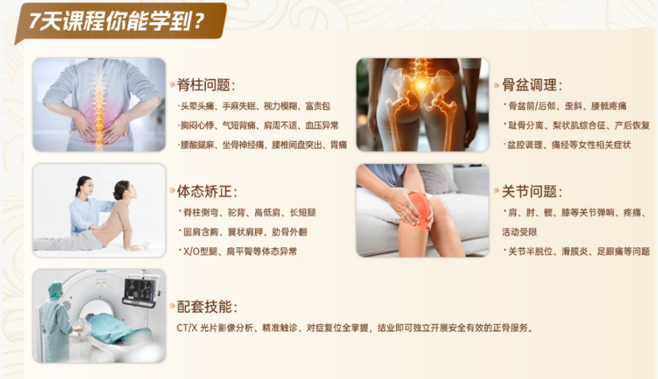 成人正骨整脊课