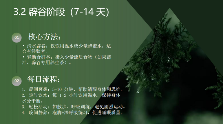 杭州静谷养生基地7天6晚静修辟谷营