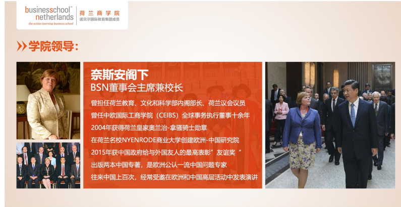荷兰商学院(BSN)全新中文在线MBA项目