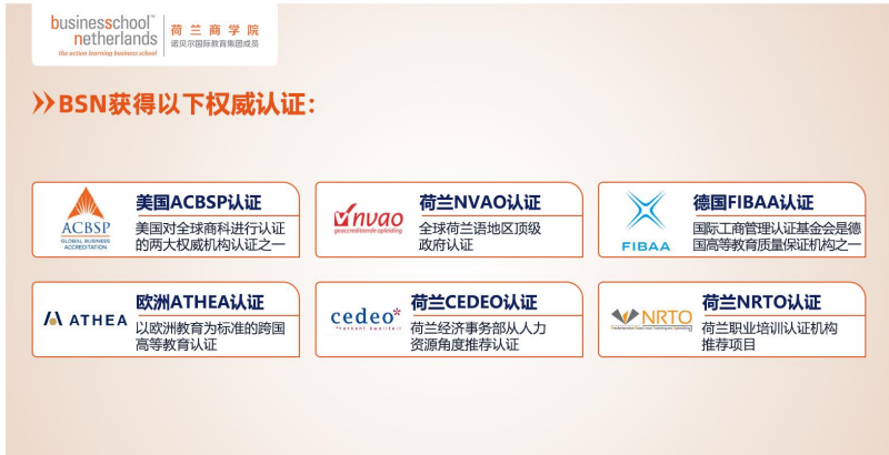 荷兰商学院(BSN)全新中文在线MBA项目