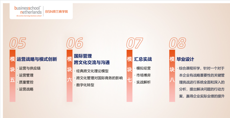 荷兰商学院(BSN)全新中文在线MBA项目