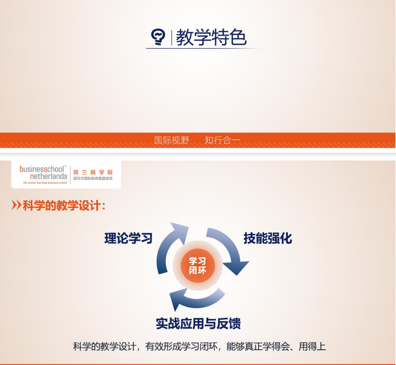 荷兰商学院(BSN)全新中文在线MBA项目