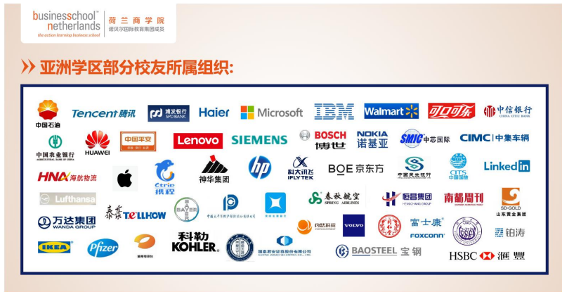荷兰商学院(BSN)全新中文在线MBA项目