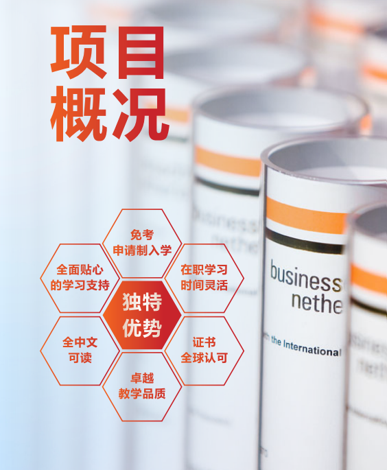 荷兰商学院工商管理EMBA项目（企业经济学方向）