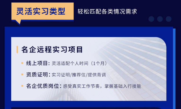 实地实习项目（可线上远程实习）