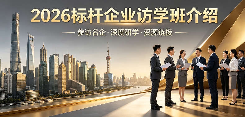 标杆访学什么意思？