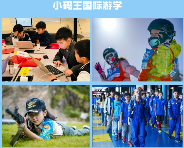 小码王编程官网入口