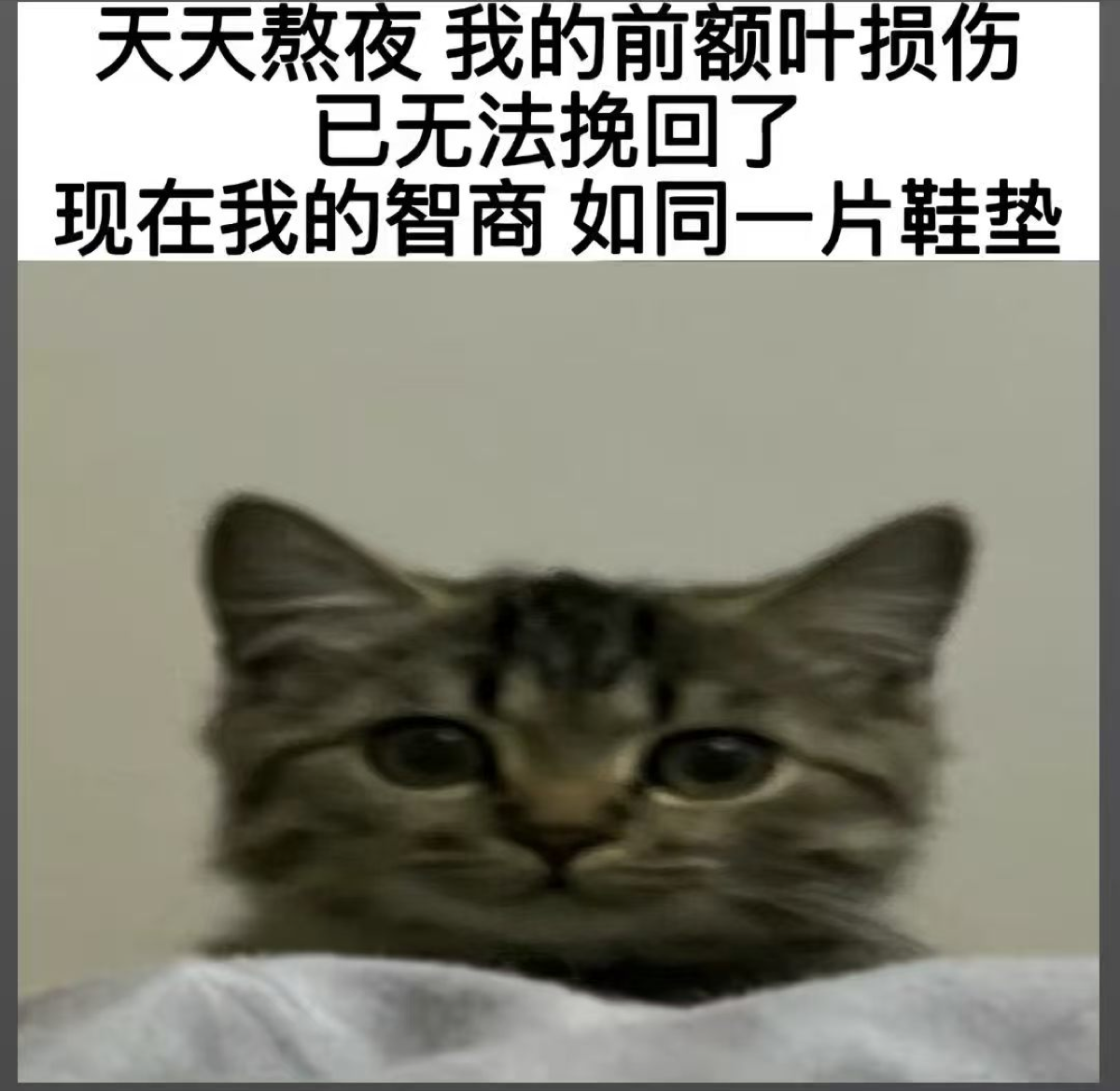 天天熬夜，让我的前额叶损伤，现在我的智商如同一片鞋垫