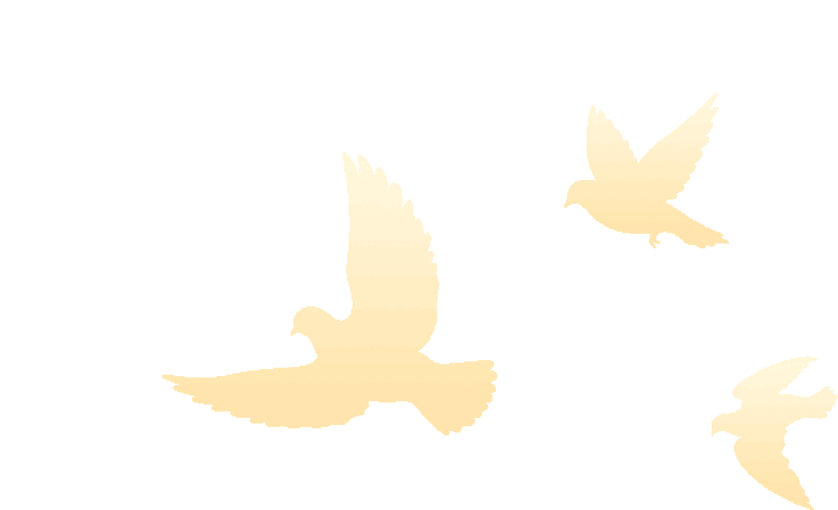 致敬改革开放：在不确定的2026，做确定的自己！企业老板必修的