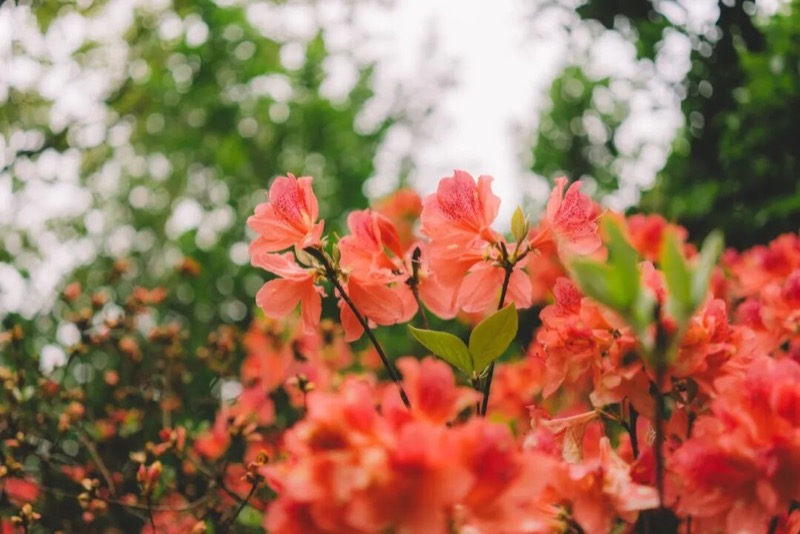 心理学家荣格：你在童年时期和父母的相处方式，决定了孩子的性格和命运！