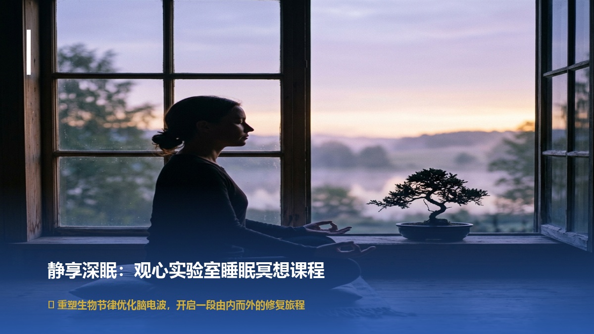 观心实验室睡眠和冥想静坐课程介绍