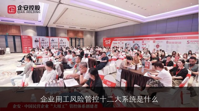 企业用工风险管控十二大系统是什么