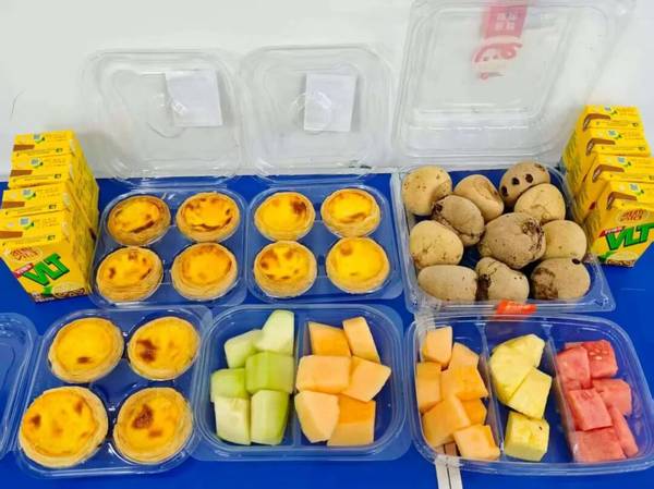 小码王 | 2026寒假信奥集训营 | 近千名少年用代码写就成长答卷