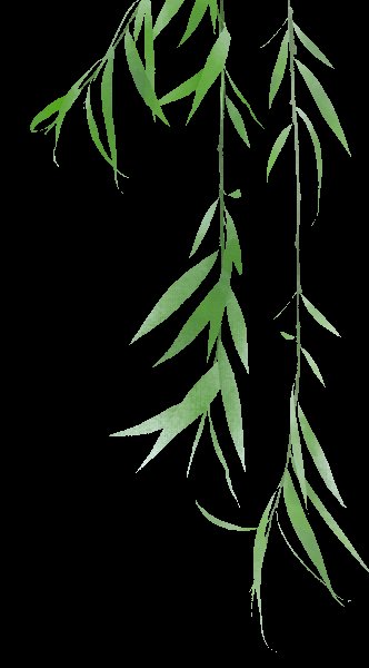 WPIE | 父母教育家 | 墨香结盟，扇藏密语：赴一场瑶寨里的女儿之约！——江永行程安排