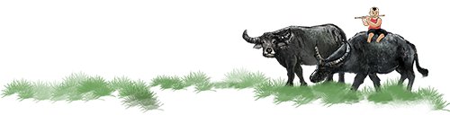 WPIE | 父母教育家 | 墨香结盟，扇藏密语：赴一场瑶寨里的女儿之约！——江永行程安排