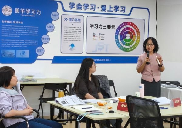 美羊学习力 | 北师大杨娟/张玉梅/马兰/张博宇/刘璇 | 学习力指导师高阶实战营 | 4月19-24日
