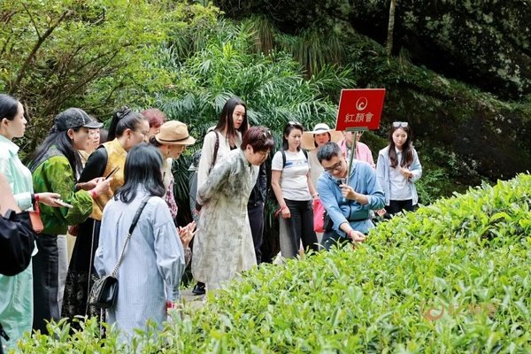 红颜丹心学堂 | 武夷山站圆满落幕 | 武夷山水一程，此心光明一生