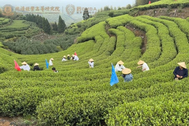 北清经管 | 四月第二周开课纪实 | 禅商修心 闽地寻道