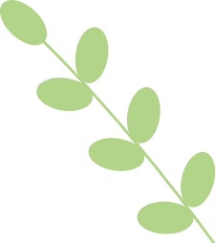 心时代父母 | 王纪琼院长 | 家庭生态导师班