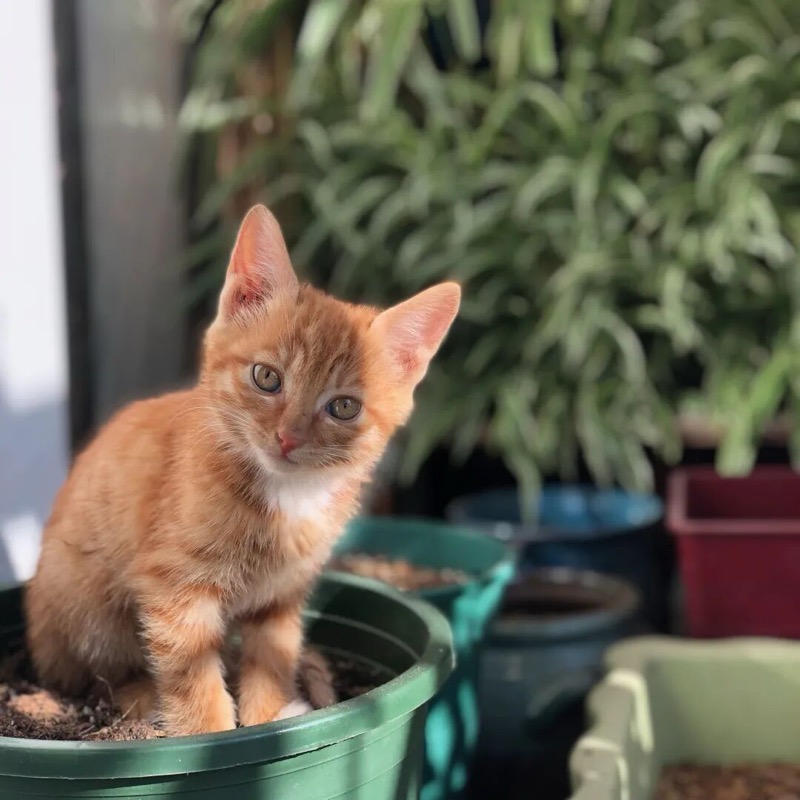 心时代父母 | 青少年总裁班 | 潍坊母亲千里送锦旗背后的故事