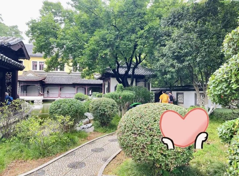 儿子从优异到跌落谷底，她选择陪孩子放下焦虑，松弛考入中传