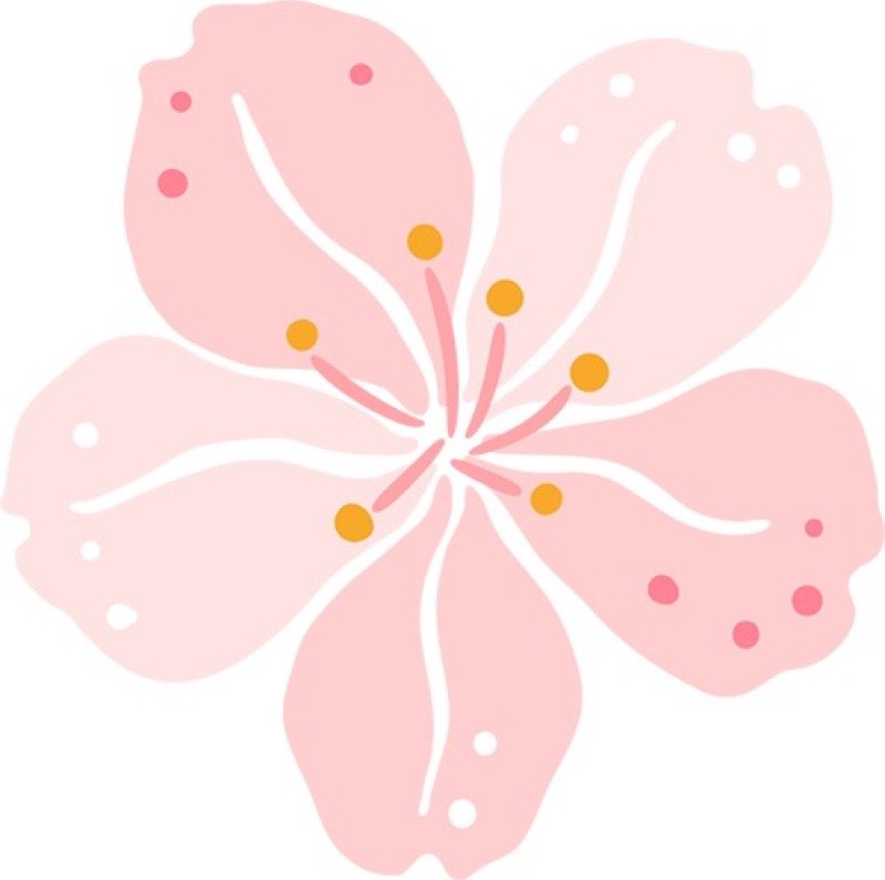 从潍坊到南阳，千里送锦旗：为什么一定要让孩子参加《青少年总裁班》！