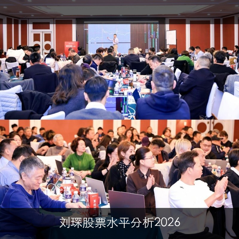 刘琛股票水平分析2026
