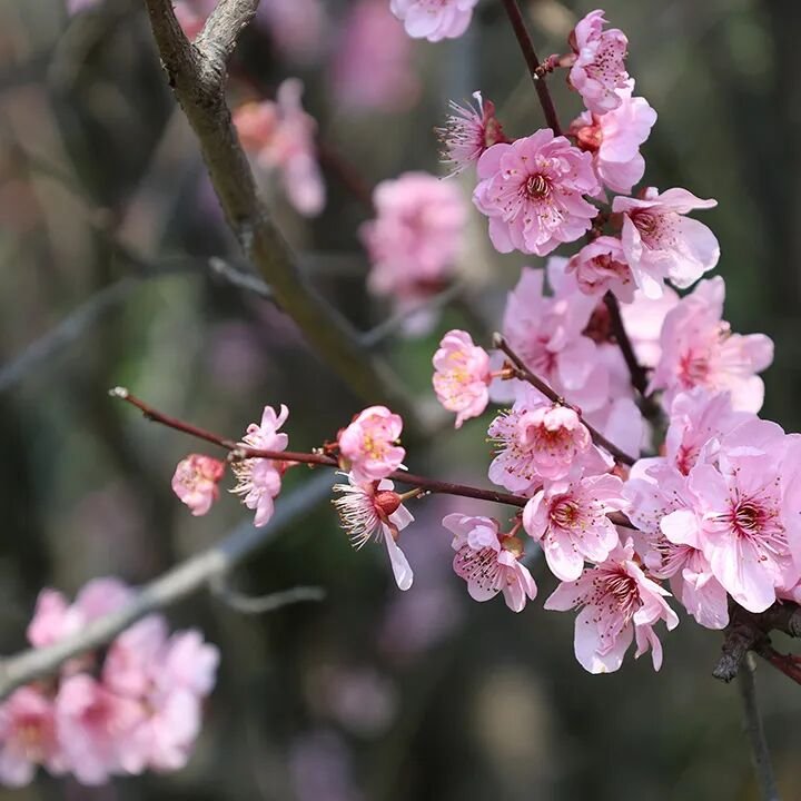 从潍坊到南阳，千里送锦旗：为什么一定要让孩子参加《青少年总裁班》！