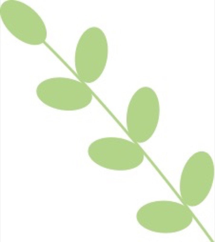 从潍坊到南阳，千里送锦旗：为什么一定要让孩子参加《青少年总裁班》！