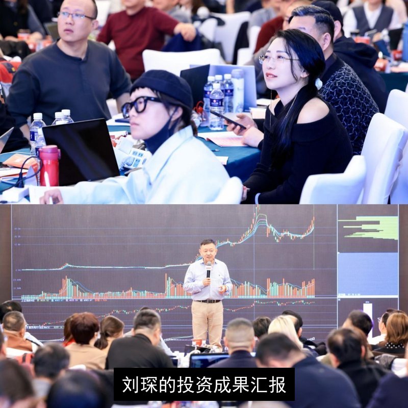 刘琛的投资成果汇报