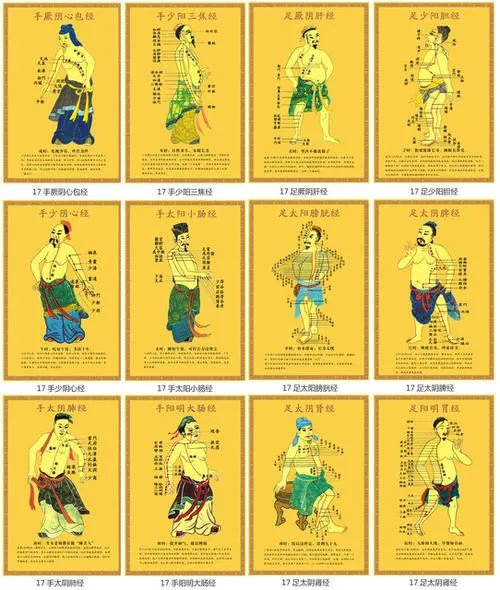广鉴学堂 | 黄帝内经与常见病防治