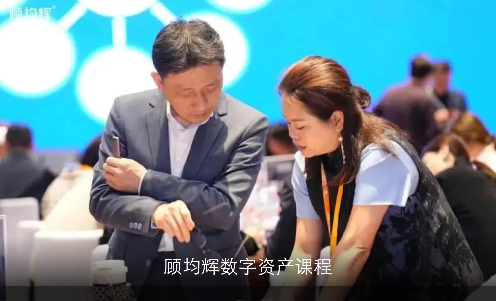 顾均辉数字资产课程