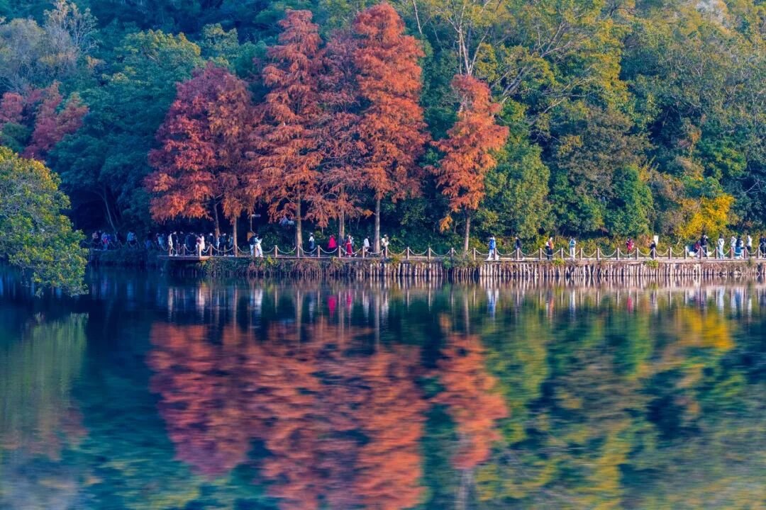 心理咨询师就业实战精进班招生简章