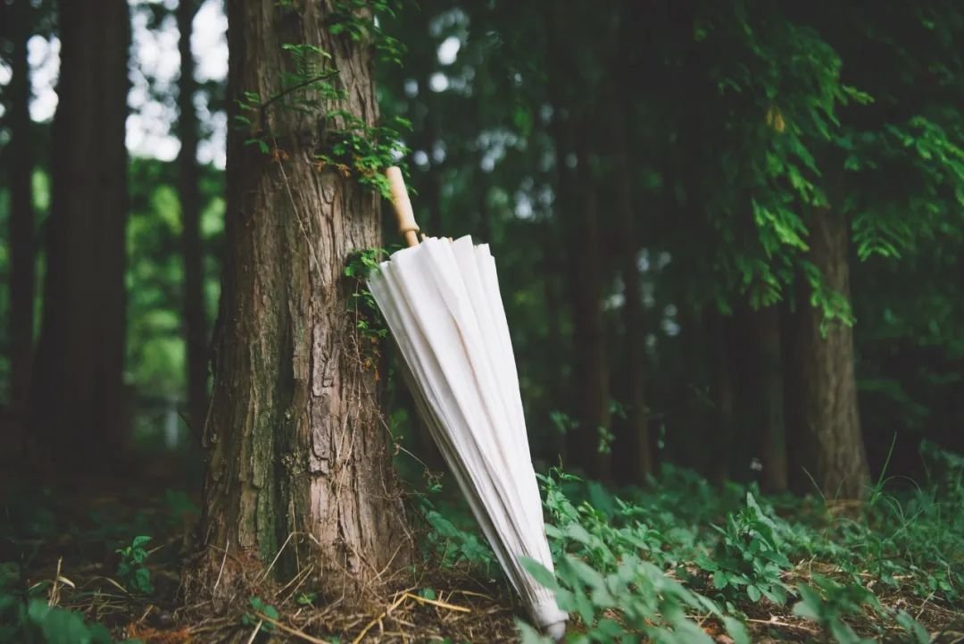 初级社工师全科无忧班招生简章