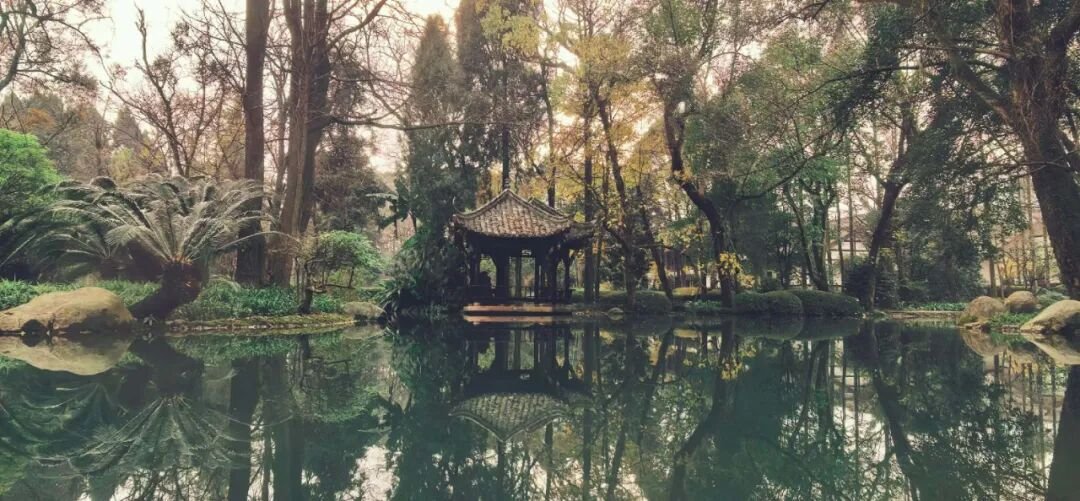 《鬼谷子大商之道》都江堰站圆满落幕：智慧启迪商海新篇章