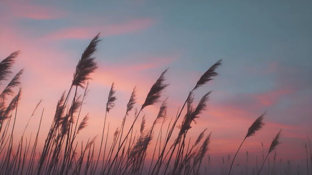 心理咨询师就业能力班招生简章