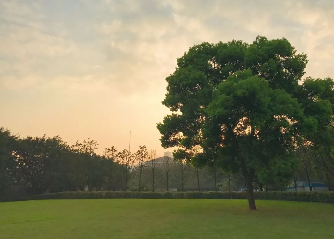 心理咨询师（三级）培训课程招生简章