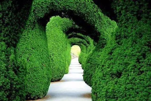 华夏思源 | 实用课程 | 精神分析在心理咨询中的应用案例