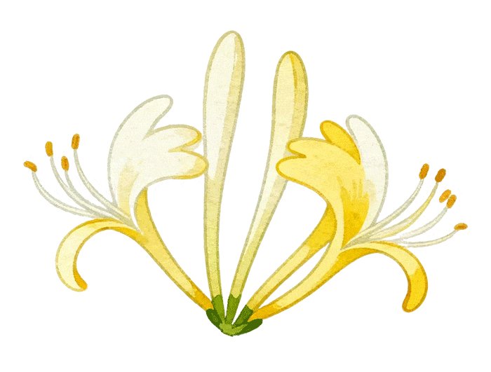 金程考研 | 上海大学分校3月3日盛大开业