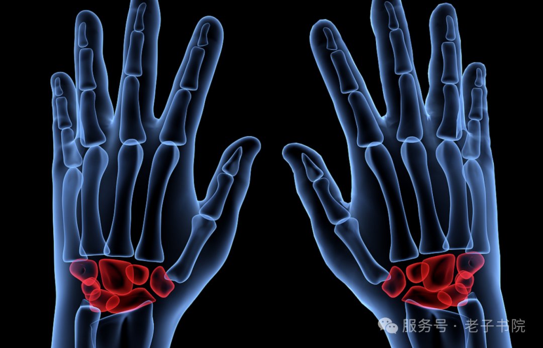 交大老子书院 武国忠医师《黄帝内经》筑基之《素问》精解课程 招生预告