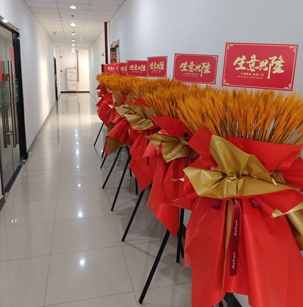 金程考研 | 上海大学分校3月3日盛大开业