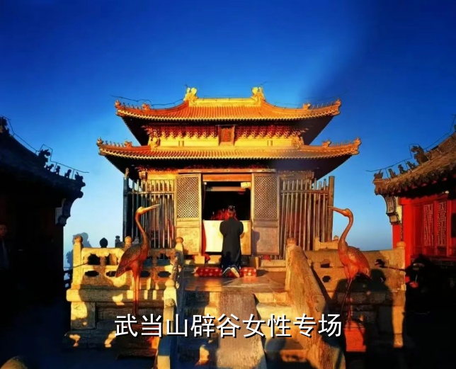 武当山辟谷女性专场