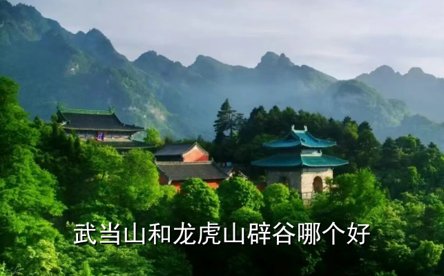 武当山和龙虎山辟谷哪个好