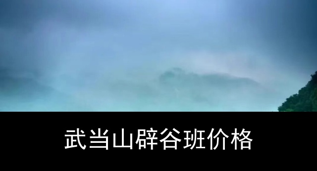 武当山辟谷班价格