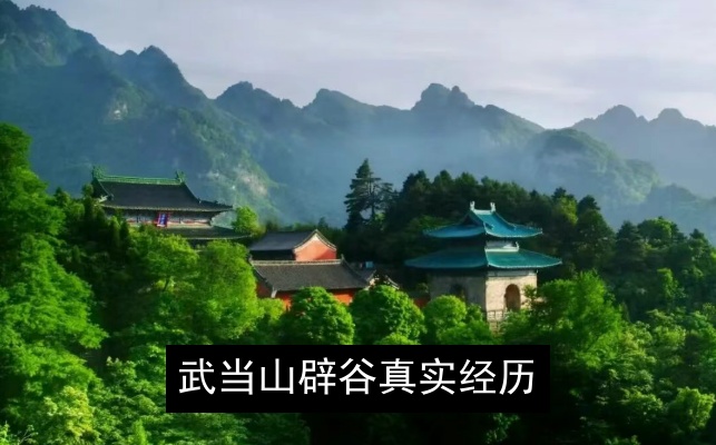 武当山辟谷真实经历