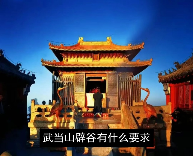 武当山辟谷有什么要求